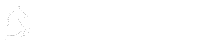 blackcoffer internship assignment solution